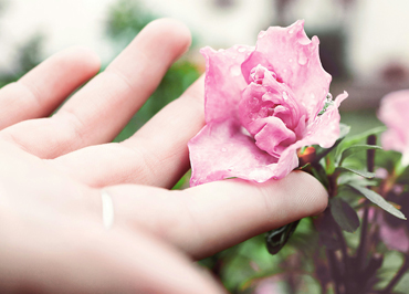 Miscarriage Support
